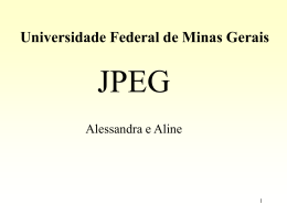 JPEG - DCC - Universidade Federal de Minas Gerais