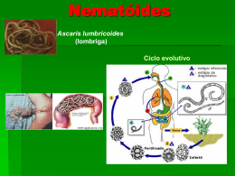 Namatóides.