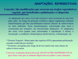 Anemocoria - dispers&atilde;o pelo vento