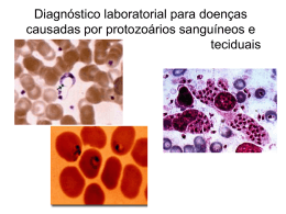 Exame Parasitológico de sangue e tecido