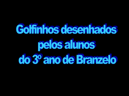 Apresenta&ccedil;&atilde;o dos golfinhos