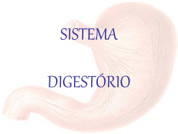 intestino grosso intestino grosso apêndice vermiforme jejuno-íleo