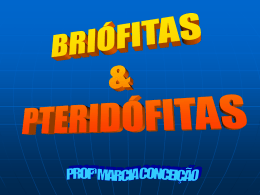 BRIOFITAS-PTERIDOFITAS
