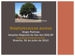 Staphylococcus aureus - Paulo Roberto Margotto