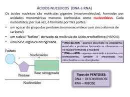 &Aacute;CIDOS NUCLEICOS (DNA e RNA)