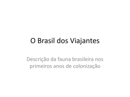 O Brasil dos Viajantes
