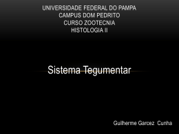 Universidade Federal do Pampa Campus Dom Pedrito