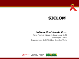 Apresentação Reunião abril de 2013 - SICLOM