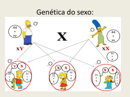 Genética do sexo: - Escola Rainha do Brasil