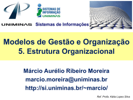 5. Estrutura Organizacional - Lopes & Gazzani Planejamento Ltda