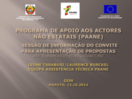 Programa de Apoio aos Actores N&atilde;o Estatais (PAANE