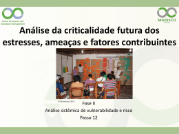 12. An&aacute;lise da criticalidade futura dos