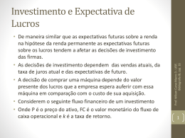 Investimento e Expectativa de lucros