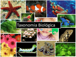 Taxonomia Fungos - Máximo Vestibulares