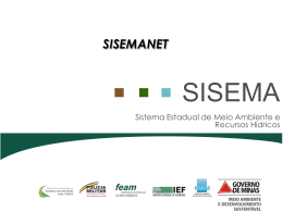 Portal Sisemanet Pauta