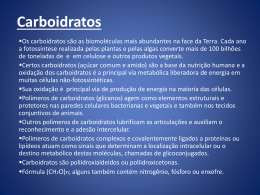Carboidratos - Universidade Castelo Branco