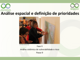 9. An&aacute;lise espacial e defini&ccedil;&atilde;o de prior[...]