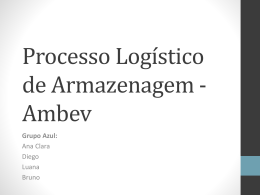 Processo Logístico de Armazenagem - Ambev