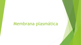 1º BIM - Membrana plasmática