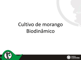 [Apresentação] - Cultivo de Morango Biodinâmico