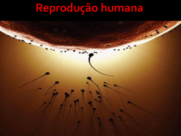 Reprodução humana