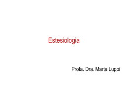 Estesiologia. - Enfermagem