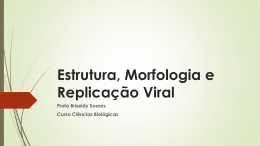 3a aula Virus defini&ccedil;&atilde;o classifica&ccedil;&atilde;o replica&ccedil;&atilde;o Briseidy 11