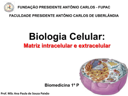 AULA VII- Martiz intracelular e extracelular