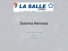 Sistema Nervoso - lsdores.com.br