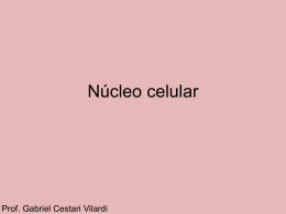 Núcleo celular