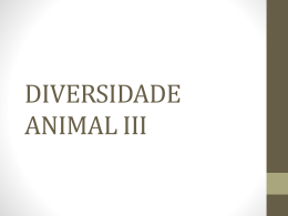 DIVERSIDADE ANIMAL III