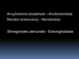 AulaAncylostomaStrongyloides