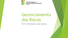 Gerenciamento dos Riscos