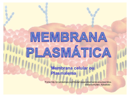 membrana plasmática