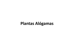 Plantas Alógamas