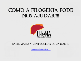 isabel_mello - Algoritmo Brasileiro