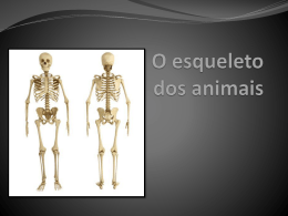 O esqueleto dos animais