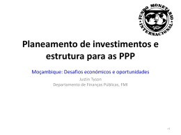 Planeamento de investimentos e estrutura para as PPP