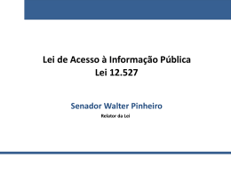 Confira aqui a apresentação do senador Pinheiro.