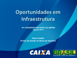 Oportunidades em Infraestrutura - Flavio Arakaki
