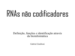 RNAs não codificadores