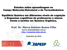 Forma&ccedil;&atilde;o Conceitual Frente Experimenta&ccedil;&otilde;es no Ensino de