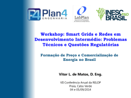 Forma&ccedil;&atilde;o de Pre&ccedil;o e Comercializa&ccedil;&atilde;o de Energia no Brasil
