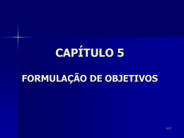 Formula&ccedil;&atilde;o De Objetivos
