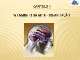 A Caminho da Auto Organização - Prof. Alexandre F. de Almeida