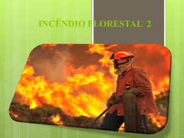 INCÊNDIO FLORESTAL 2 - master cursos e brigadas