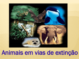 Animais em vias de extinção - sextoA2011-2012