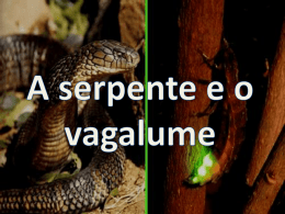A serpente e o vaga-lume