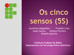 Os 5 S (Slide) - Franklin Lima