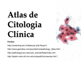 1 2014 Atlas Cito Clínica imagens internet